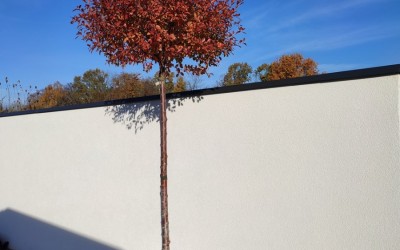 zakładanie ogrodów Giżycko