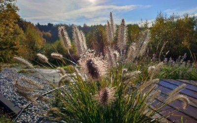 architektura krajobrazu Giżycko