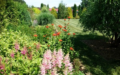 Zakładanie zieleni Giżycko