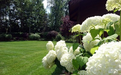 Projekty ogrodów Mazury