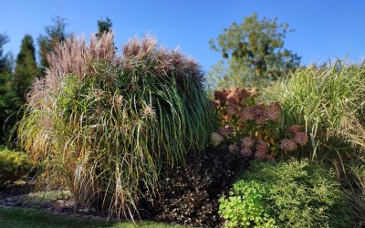 Architektura krajobrazu Giżycko