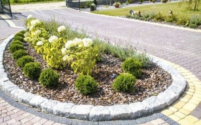 Zakładanie ogrodów Wilkasy