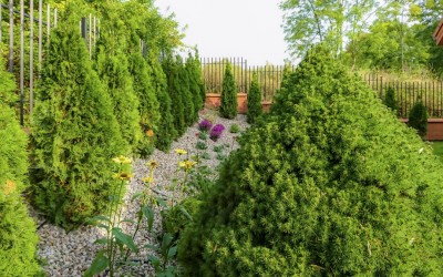 Zagospodarowanie terenu Giżycko