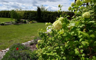 Sadzenie roślin Węgorzewo