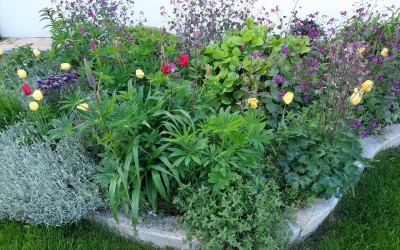 Aranżacje roślinne Mazury