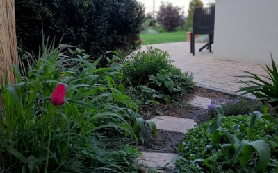 Architektura krajobrazu Giżycko