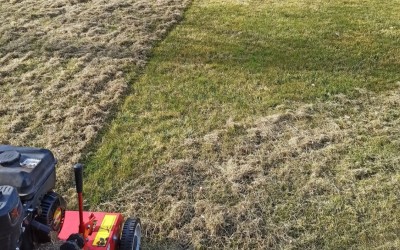 Zakładanie trawników Giżycko