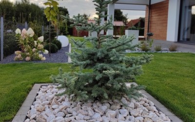 projektowanie ogrodów Mazury