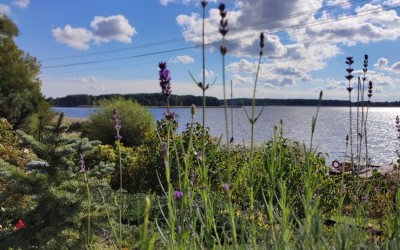 Projekty zagospodarowania terenu Giżycko