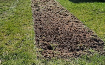 Zakładanie ogrodów Giżycko