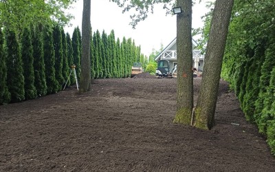 Trawniki z siewu Mazury