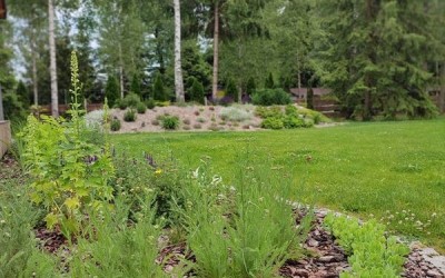 zakładanie ogrodów Pisz