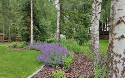 zakładanie ogrodów Giżycko