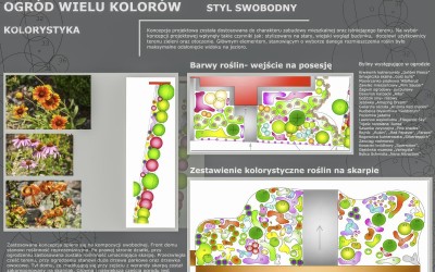 Projekt ogrodu o wielu kolorach
