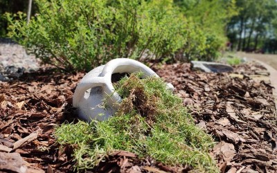 zakładanie zieleni Giżycko