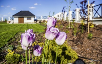 Zakładanie ogrodów Giżycko